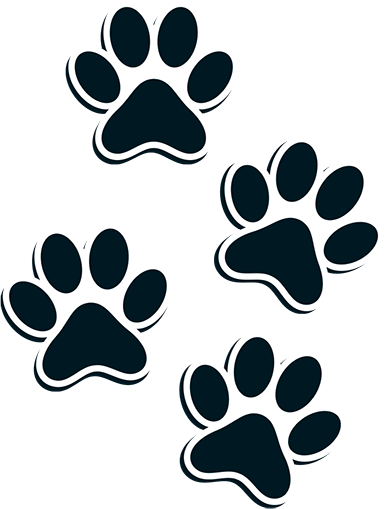 paw-prints